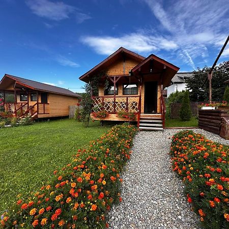 Villa Baltina Parc Transfagarasan Curtea de Argeş Esterno foto