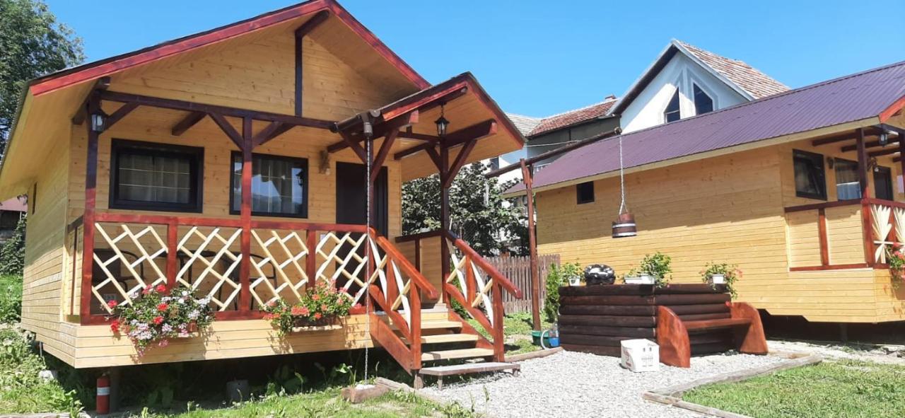 Villa Baltina Parc Transfagarasan Curtea de Argeş Esterno foto