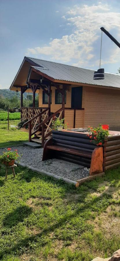 Villa Baltina Parc Transfagarasan Curtea de Argeş Esterno foto