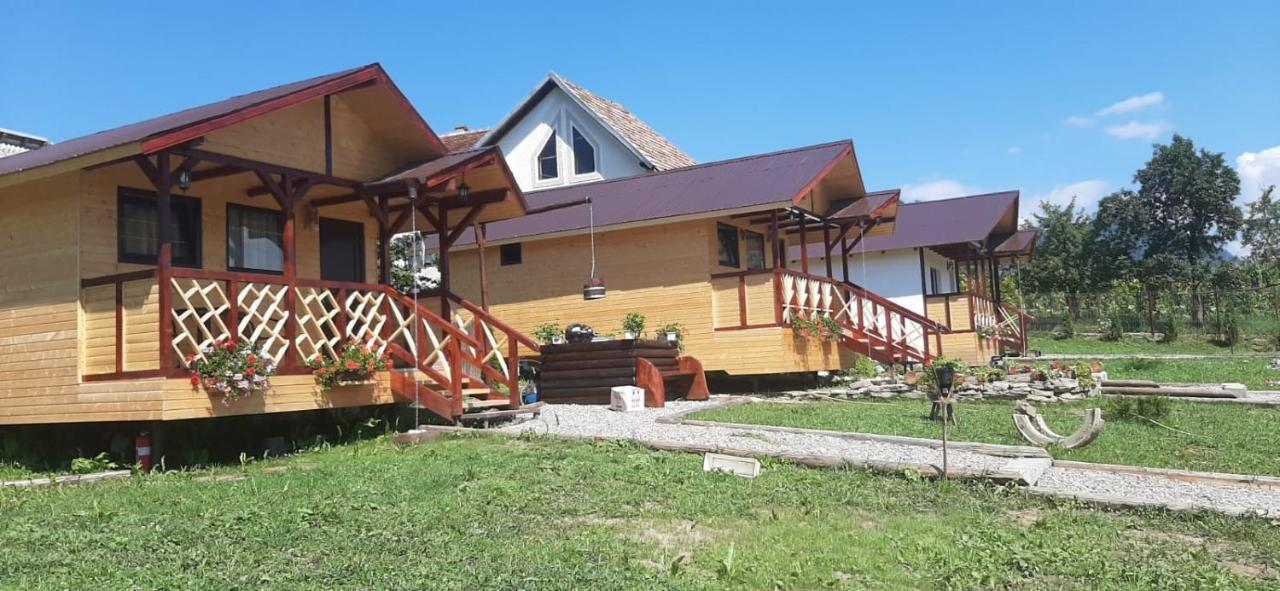 Villa Baltina Parc Transfagarasan Curtea de Argeş Esterno foto