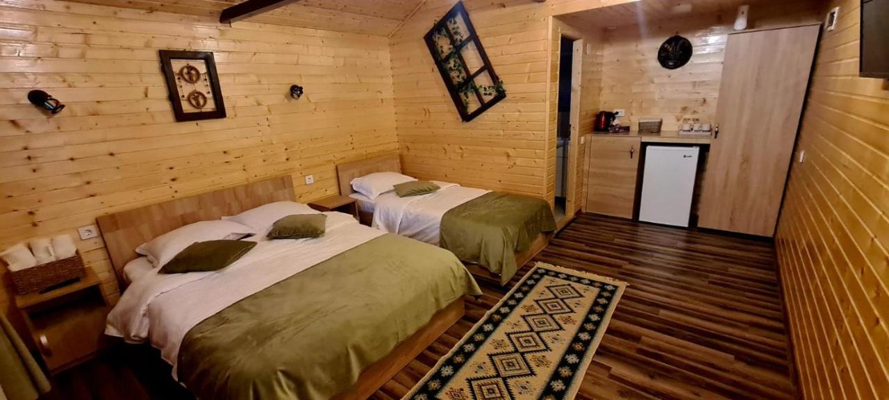 Villa Baltina Parc Transfagarasan Curtea de Argeş Esterno foto
