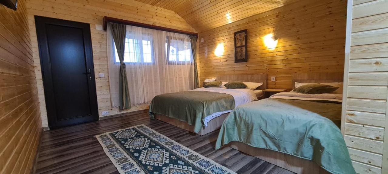 Villa Baltina Parc Transfagarasan Curtea de Argeş Esterno foto
