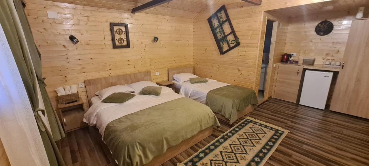 Villa Baltina Parc Transfagarasan Curtea de Argeş Esterno foto