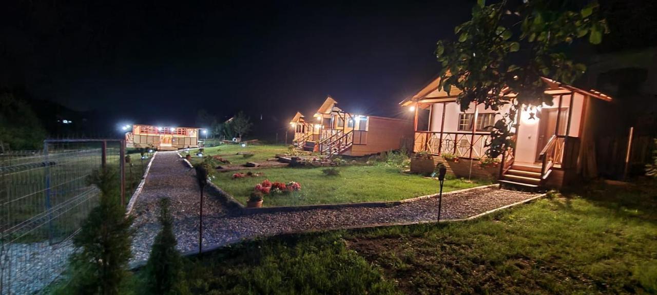 Villa Baltina Parc Transfagarasan Curtea de Argeş Esterno foto
