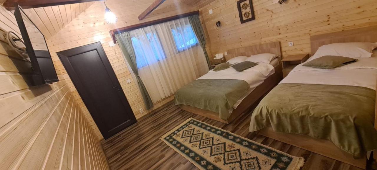 Villa Baltina Parc Transfagarasan Curtea de Argeş Esterno foto