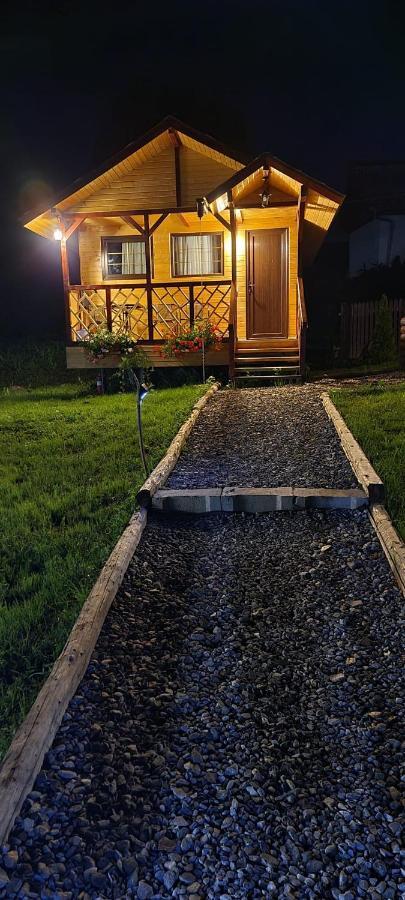 Villa Baltina Parc Transfagarasan Curtea de Argeş Esterno foto