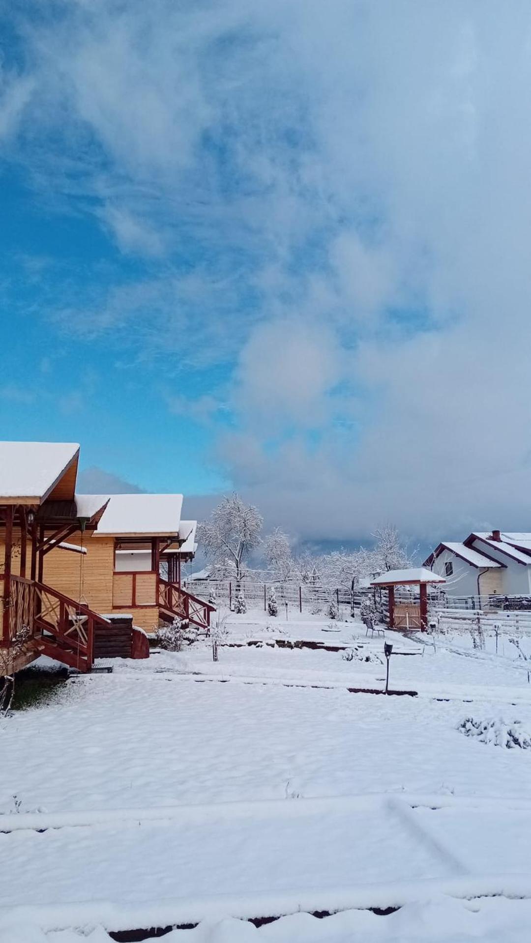 Villa Baltina Parc Transfagarasan Curtea de Argeş Esterno foto