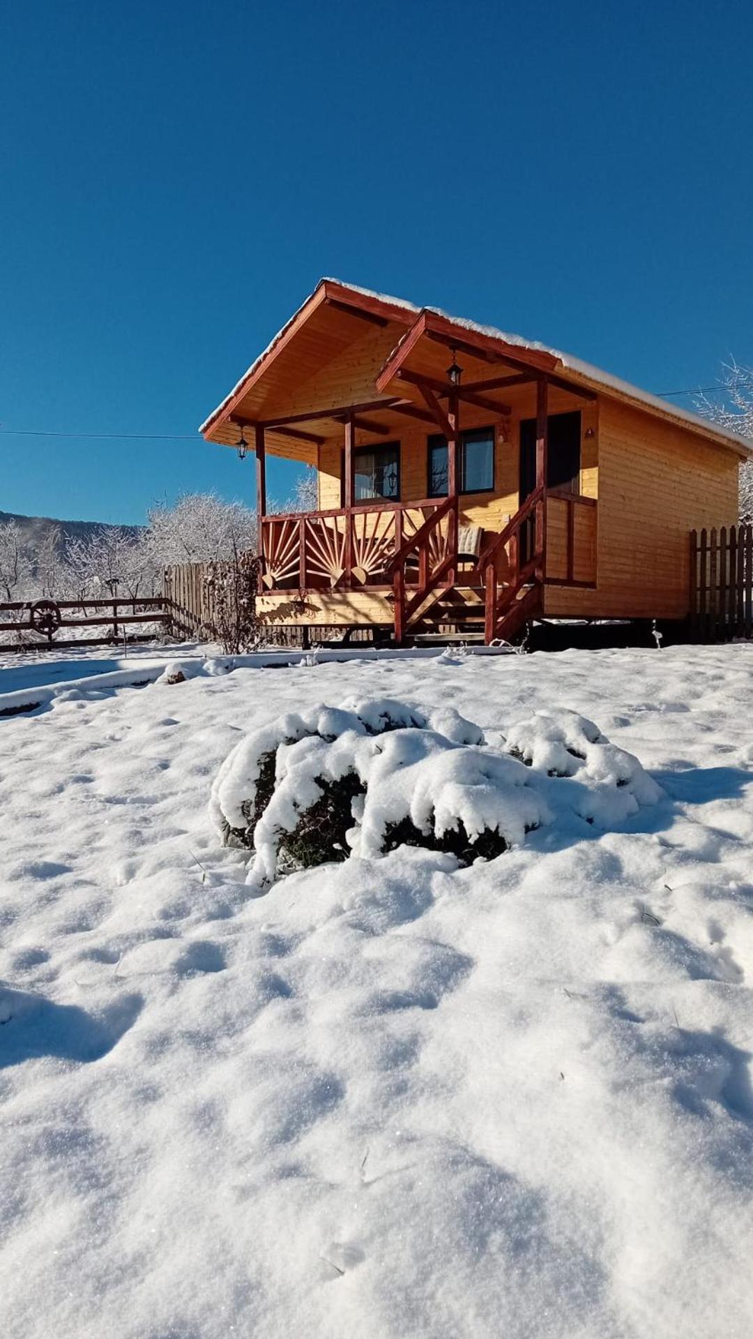 Villa Baltina Parc Transfagarasan Curtea de Argeş Esterno foto