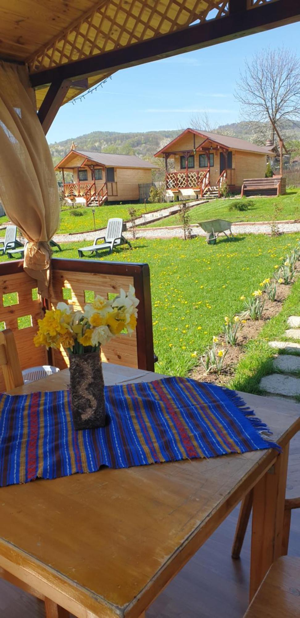 Villa Baltina Parc Transfagarasan Curtea de Argeş Esterno foto
