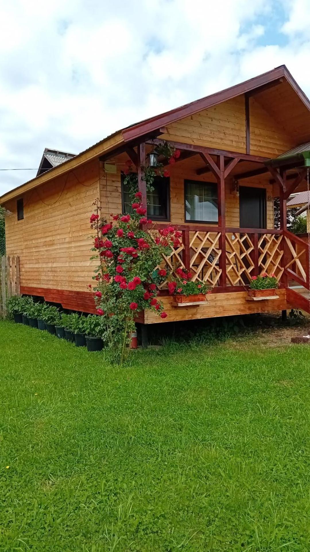 Villa Baltina Parc Transfagarasan Curtea de Argeş Esterno foto