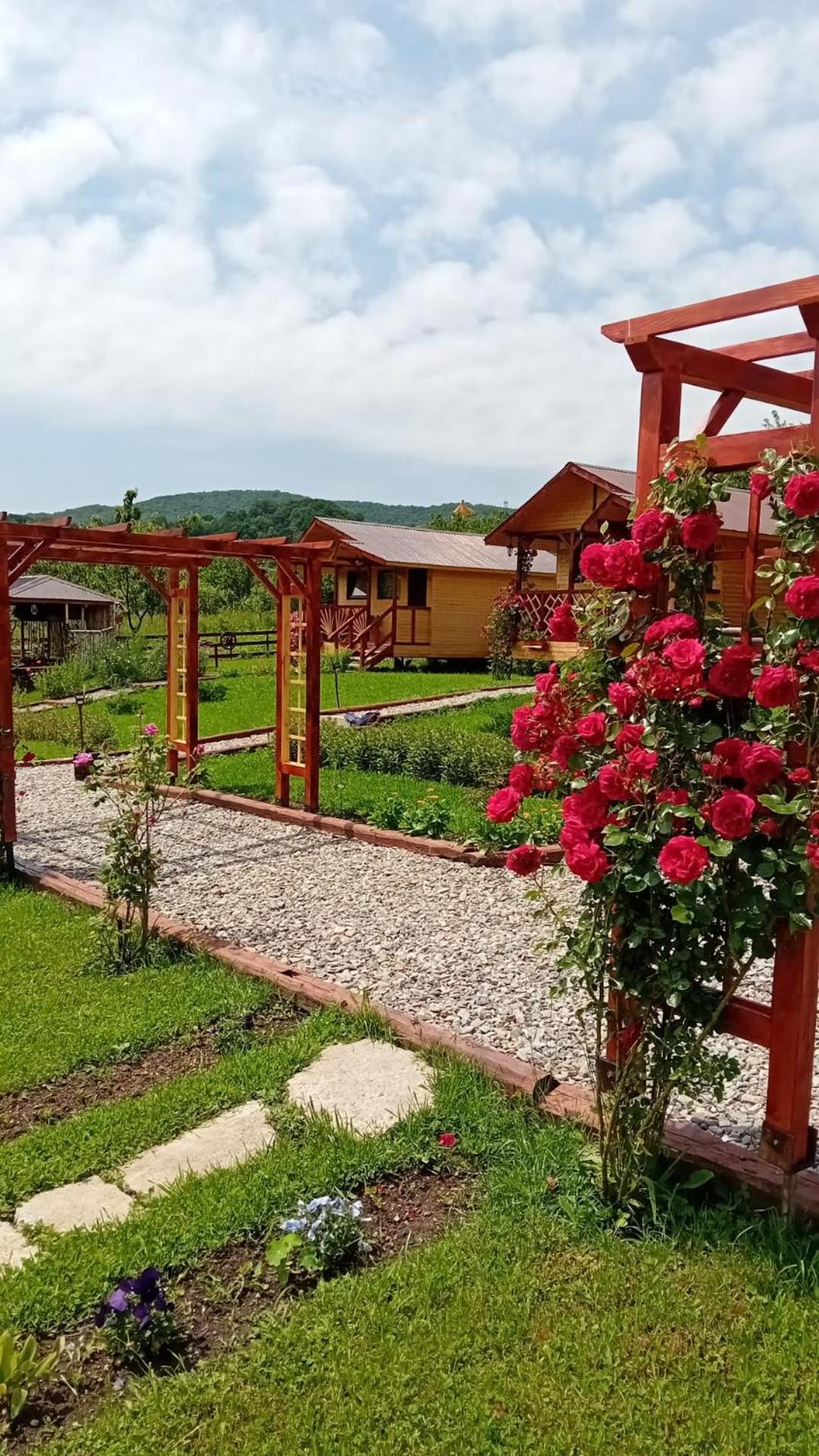 Villa Baltina Parc Transfagarasan Curtea de Argeş Esterno foto