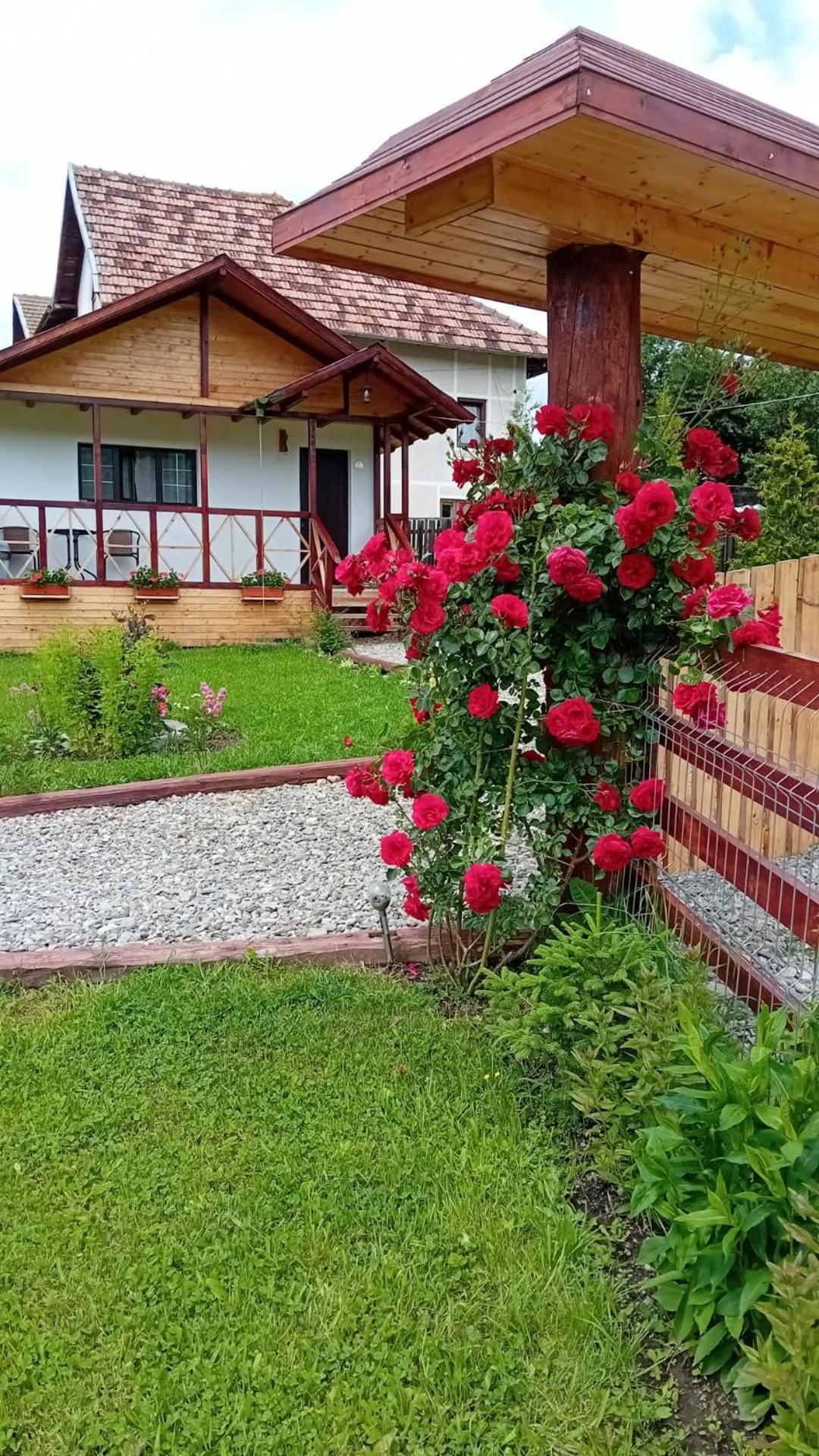 Villa Baltina Parc Transfagarasan Curtea de Argeş Esterno foto