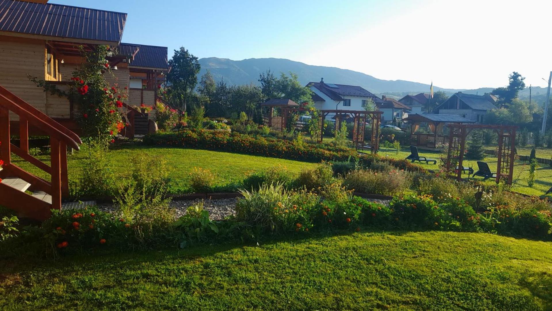 Villa Baltina Parc Transfagarasan Curtea de Argeş Esterno foto